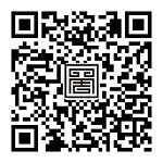 ���Ӻ���